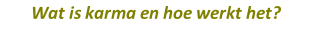 Wat is karma en hoe werkt het?