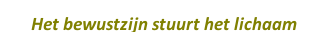 Het bewustzijn stuurt het lichaam